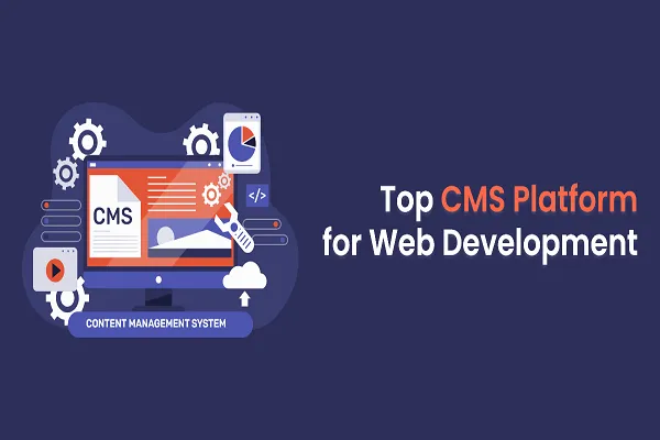 Custom content management system development in Yadgir